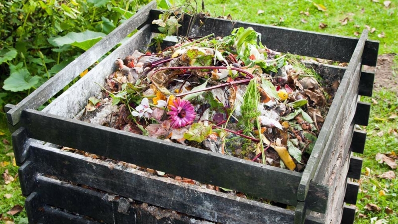 Compost goed voor tuin en gazon | MijnGazonCoach