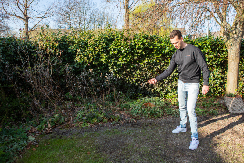 Graszaad strooien