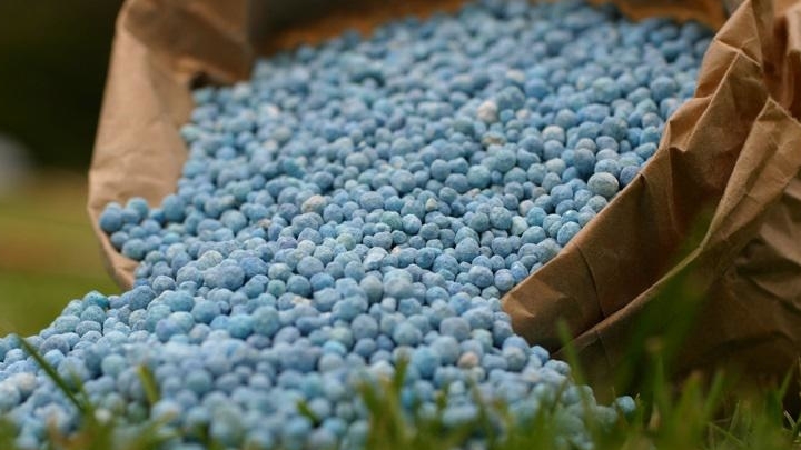 kunstmest-of-organische-mest | Kunstmest is meestal blauw van kleur