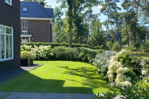 Gazononderhoud | gazon onderhoud | grasonderhoud | gazon renovatie | gazon herstel | gazon werkzaamheden winter | gazonwerkzaamheden voorjaar | gazonwerkzaamheden zomer | gazonwerkzaamheden herfst