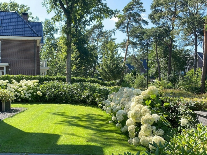 Mooi egaal groen gazon