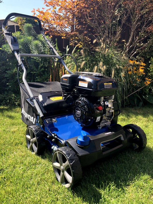 Verticuteer Gazon met een Verticuteermachine