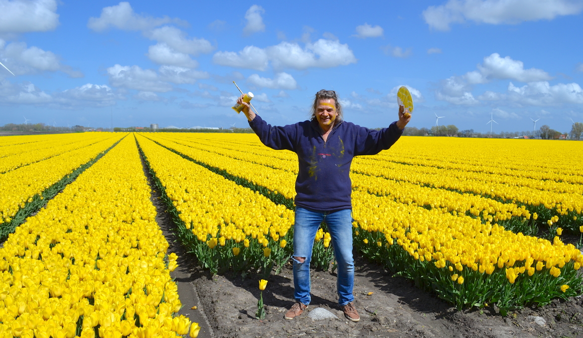 Ed Pach MijnVakantiehuisJouwVakantiehuis.nl tulpen geel