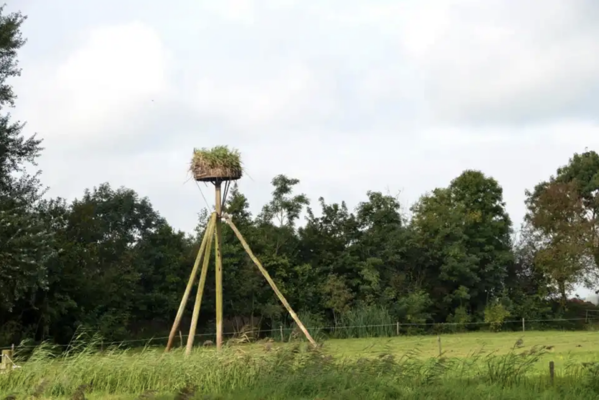 Waterstaete Ossenzijl 60, foto Ossenzijl 7 Ooievaarsnest