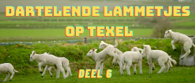 Deel 6 De dartelende lammetjes