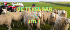 Deel 7: De Texelaar