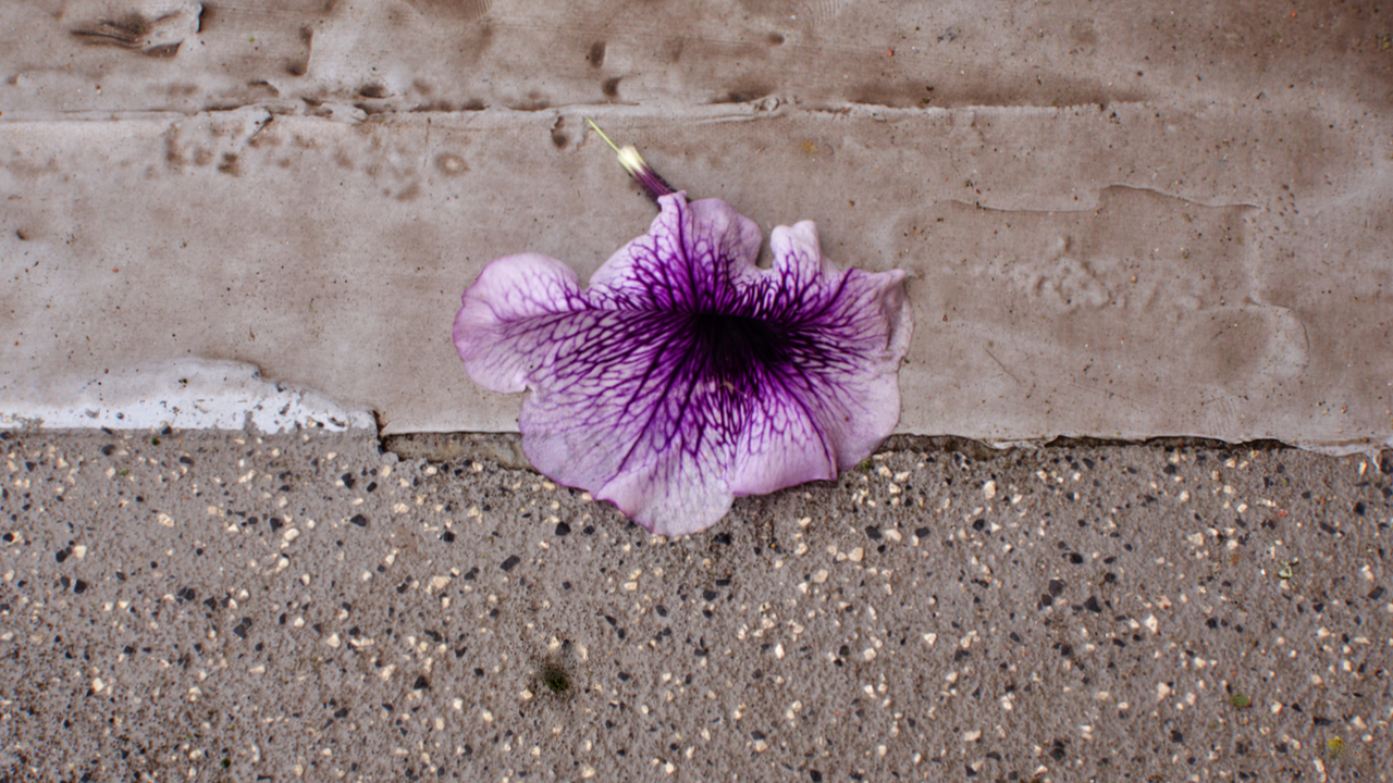 miksang retreat, miksang photography, mindful photography, miskang photography, mindfulness, meditation, yoga, meditation retreat, spirituality, creative photography fotograferen, contemplatieve, miksang contemplative photography