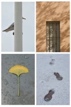 miksang retreat, miksang photography, mindful photography, miskang photography, mindfulness, meditation, yoga, meditation retreat, spirituality, creative photography fotograferen, contemplatieve, miksang contemplative photography
