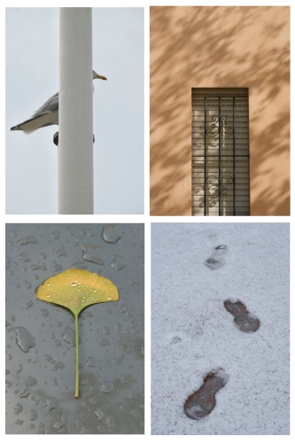 miksang retreat, miksang photography, mindful photography, miskang photography, mindfulness, meditation, yoga, meditation retreat, spirituality, creative photography fotograferen, contemplatieve, miksang contemplative photography