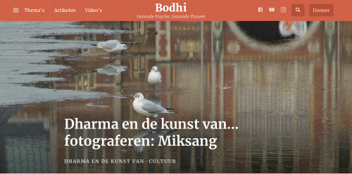 miksang retraite, miksang fotografie, mindful fotografie, miskang fotografie, mindfulness, meditatie, yoga, meditatie retreat, spiritualiteit, creatief fotograferen, contemplatieve fotografie, miksang contemplatieve fotografie