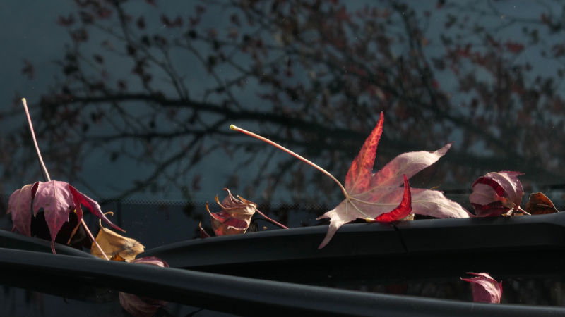 Contemplatieve fotografie miksang retraite, Miksang retraite Europa, miksang fotografie, mindful fotografie, miskang fotografie, mindfulness, meditatie, yoga, meditatie retreat, spiritualiteit, creatief fotograferen, contemplatieve fotografie, miksang contemplatieve fotografie