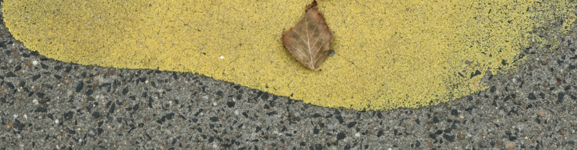 miksang retraite, miksang fotografie, mindful fotografie, miskang fotografie, mindfulness, meditatie, yoga, meditatie retreat, spiritualiteit, creatief fotograferen, contemplatieve fotografie, miksang contemplatieve fotografie