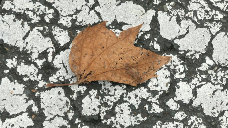 Miksang op de parkeerplaats miksang fotografie, miksang webinar, meditatie, mindful fotograferen, contemplatief fotograferen, yoga, zingeving, meditatie in acite, alledaagse schoonheid ontdekken,