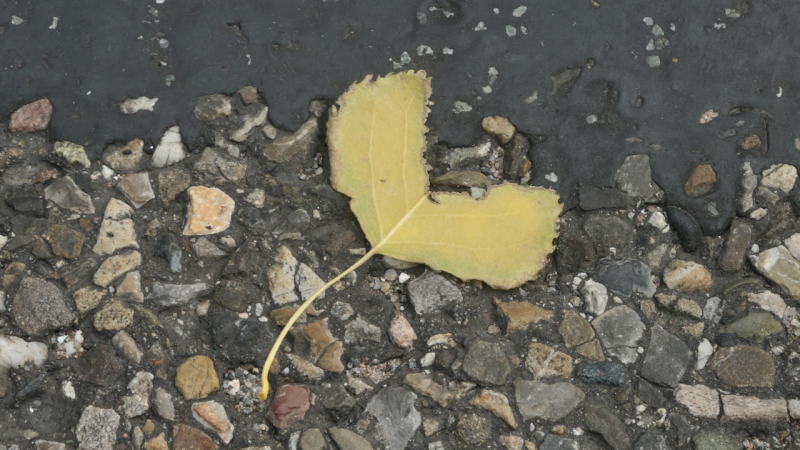 miksang retraite, miksang fotografie, mindful fotografie, miskang fotografie, mindfulness, meditatie, yoga, meditatie retreat, spiritualiteit, creatief fotograferen, contemplatieve fotografie, miksang contemplatieve fotografie