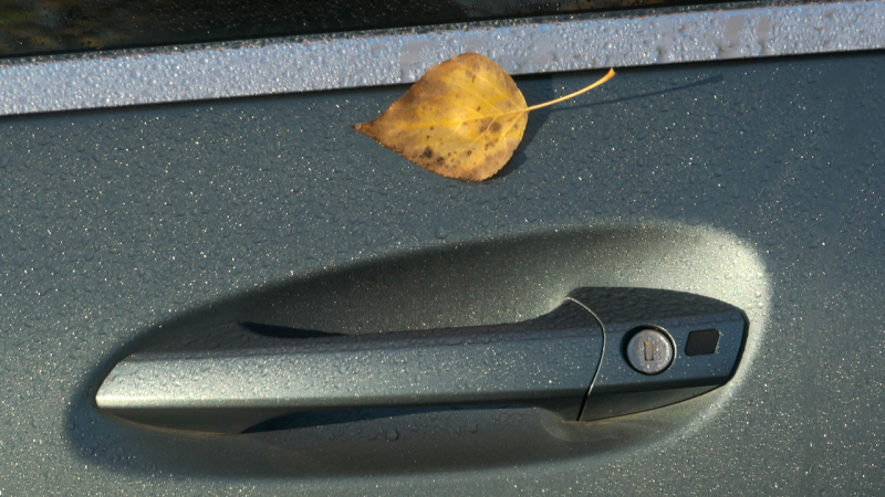 Stilstaan en diep kijken miksang opleding, miksangretraite, miksang fotografie, mindful fotografie, miskang fotografie, mindfulness, meditatie, yoga, meditatie retreat, spiritualiteit, creatief fotograferen, contemplatieve fotografie, miksang contemplatieve fotografie