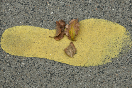 miksang retraite, miksang fotografie, mindful fotografie, miskang fotografie, mindfulness, meditatie, yoga, meditatie retreat, spiritualiteit, creatief fotograferen, contemplatieve fotografie, miksang contemplatieve fotografie