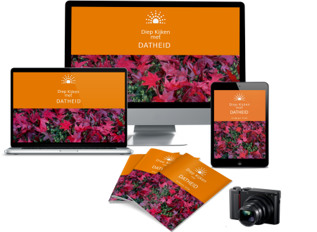 miksang mindful mindfulness fotografie meditatiecursus workshop miksang training hoogsensitief hsp