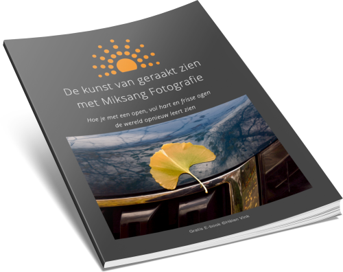 miskang e-book, gratis miksang boek, miksang owrkshop, miksang mindful fotorgafie, mindful fotografie, miksang fotografie, spiritualiteit, yoga, contemplatieve fotografie, miksang contemplatieve fotografie