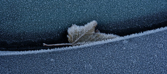 miksang coaching, miksang retraite, miksang fotografie, mindful fotografie, miskang fotografie, mindfulness, meditatie, yoga, meditatie retreat, spiritualiteit, creatief fotograferen, contemplatieve fotografie, miksang contemplatieve fotografie