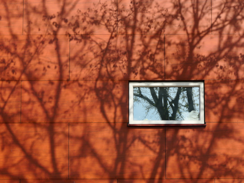 miksang mindful mindfulness fotografie meditatiecursus workshop miksang training hoogsensitief hsp