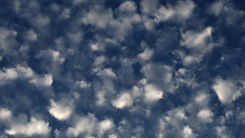 miksang mindful mindfulness fotografie meditatiecursus workshop miksang training hoogsensitief hsp
