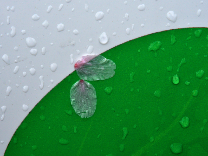 miksang retraite, miksang fotografie, mindful fotografie, miskang fotografie, mindfulness, meditatie, yoga, meditatie retreat, spiritualiteit, creatief fotograferen, contemplatieve fotografie, miksang contemplatieve fotografie