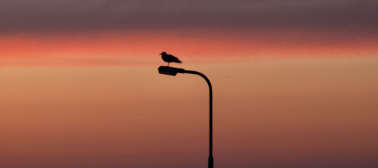 miksang retraite, Miksang retraite Europa, miksang fotografie, mindful fotografie, miskang fotografie, mindfulness, meditatie, yoga, meditatie retreat, spiritualiteit, creatief fotograferen, contemplatieve fotografie, miksang contemplatieve fotografie