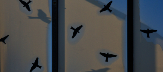 miksang retraite, miksang blog, Miksang retraite, miksang fotografie, mindful fotografie, miskang, mindfullness, meditatie, yoga, meditatie retreat, spiritualiteit, creatief fotograferen, contemplatieve fotografie, miksang contemplatieve fotografie