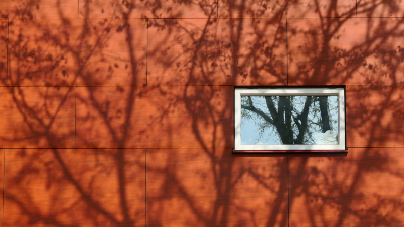 miksang mindful mindfulness fotografie meditatiecursus workshop miksang training hoogsensitief hsp