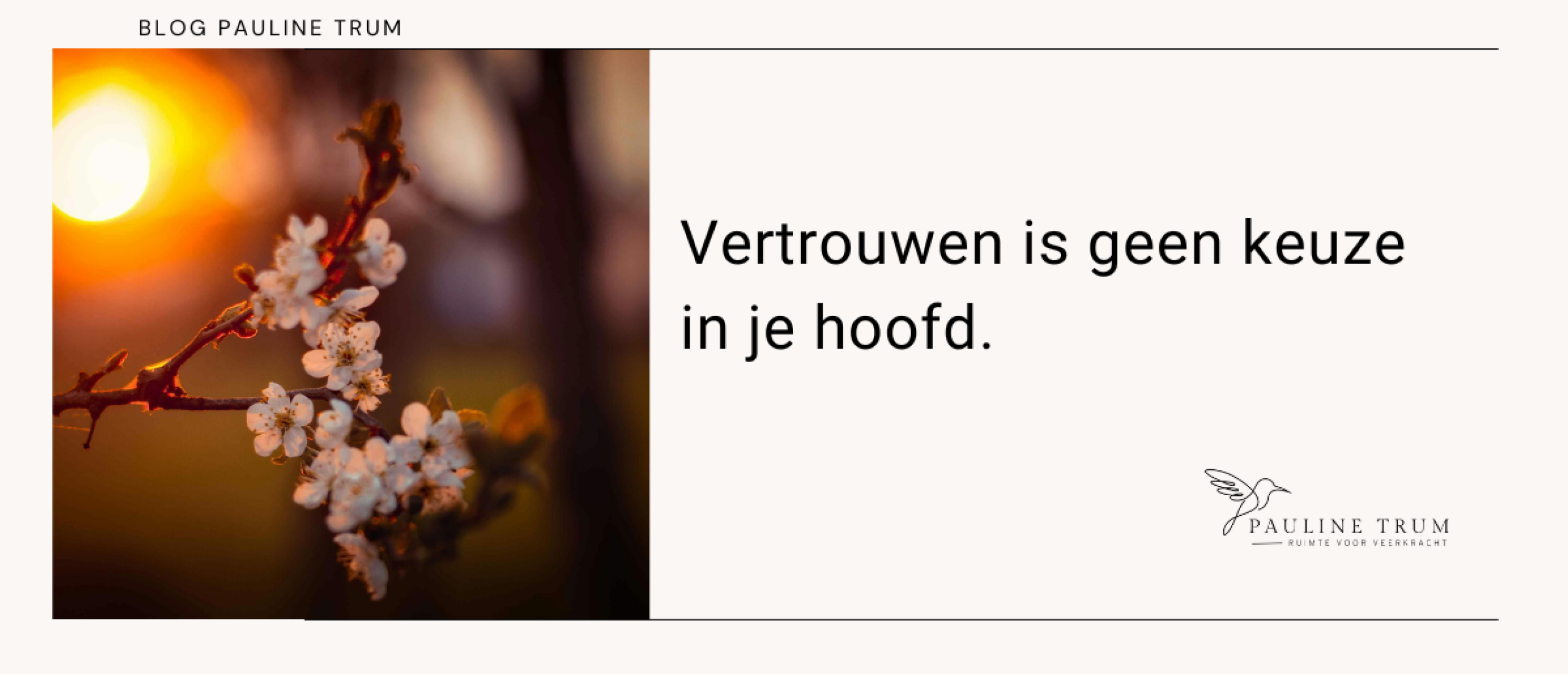Blog vertrouwen is geen keuze in je hoofd