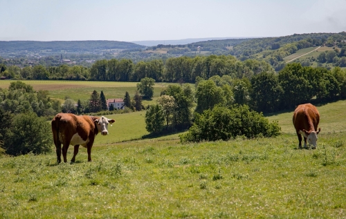 mindfulness heuvelland