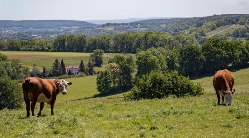 mindfulness heuvelland