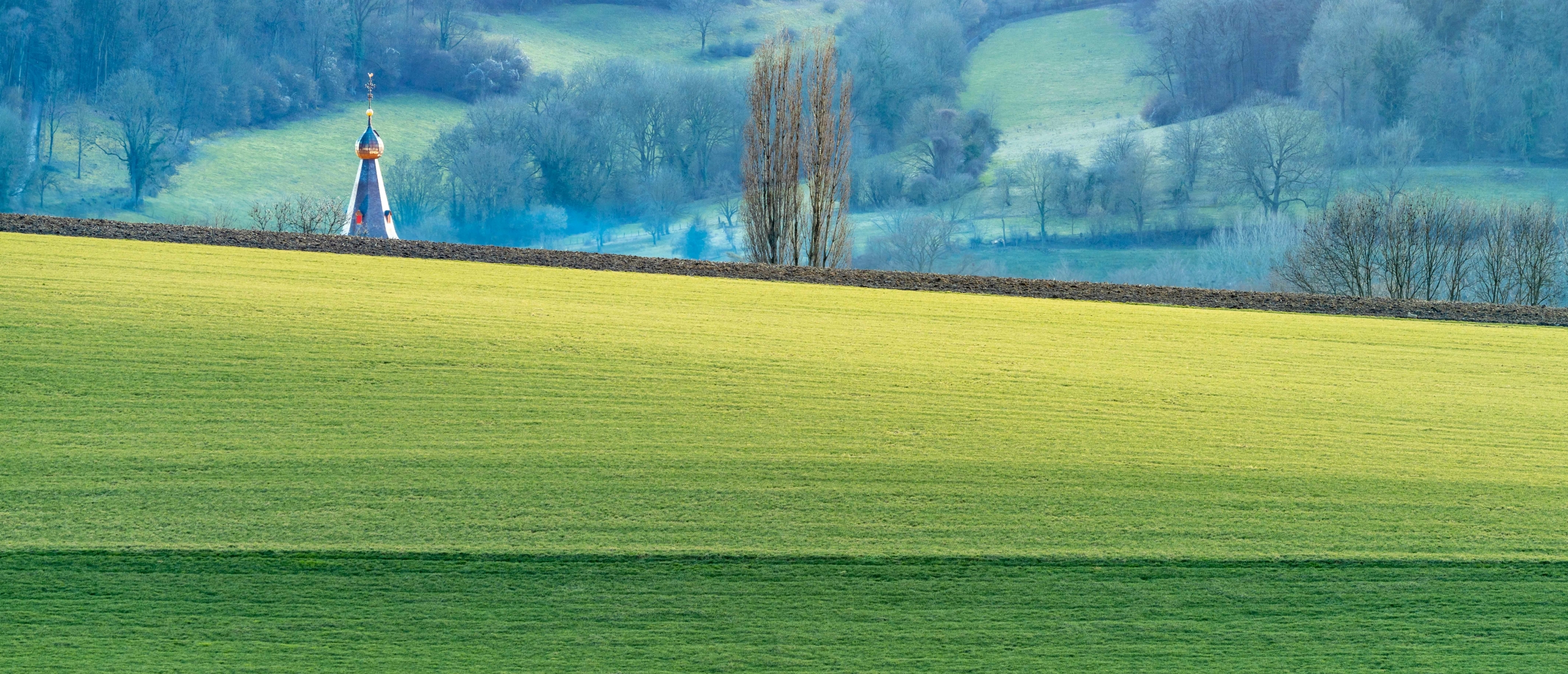 natuur wandelcoaching