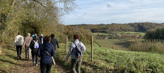 Mindfulness in de natuur