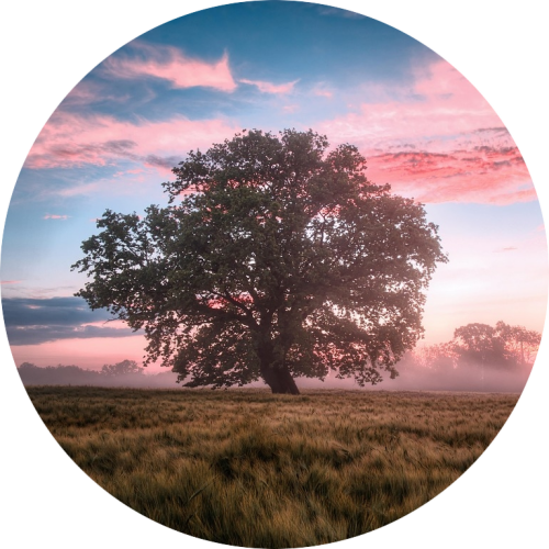 wakker worden zonsopkomst