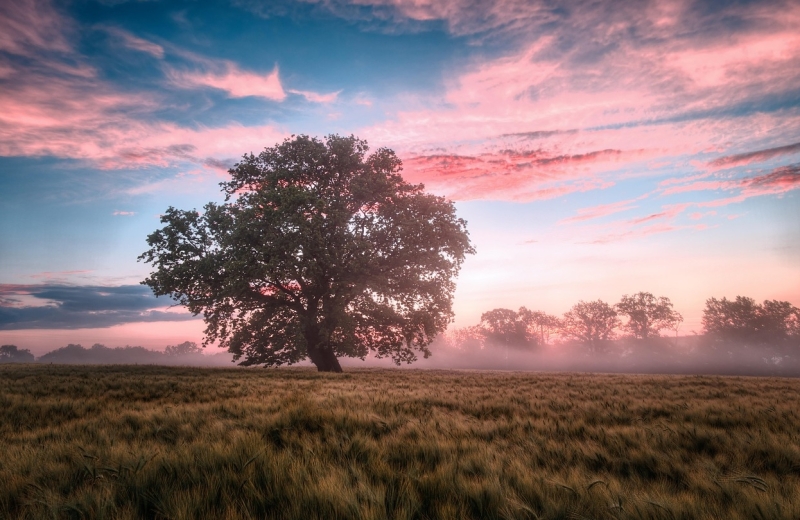 zonsopkomst