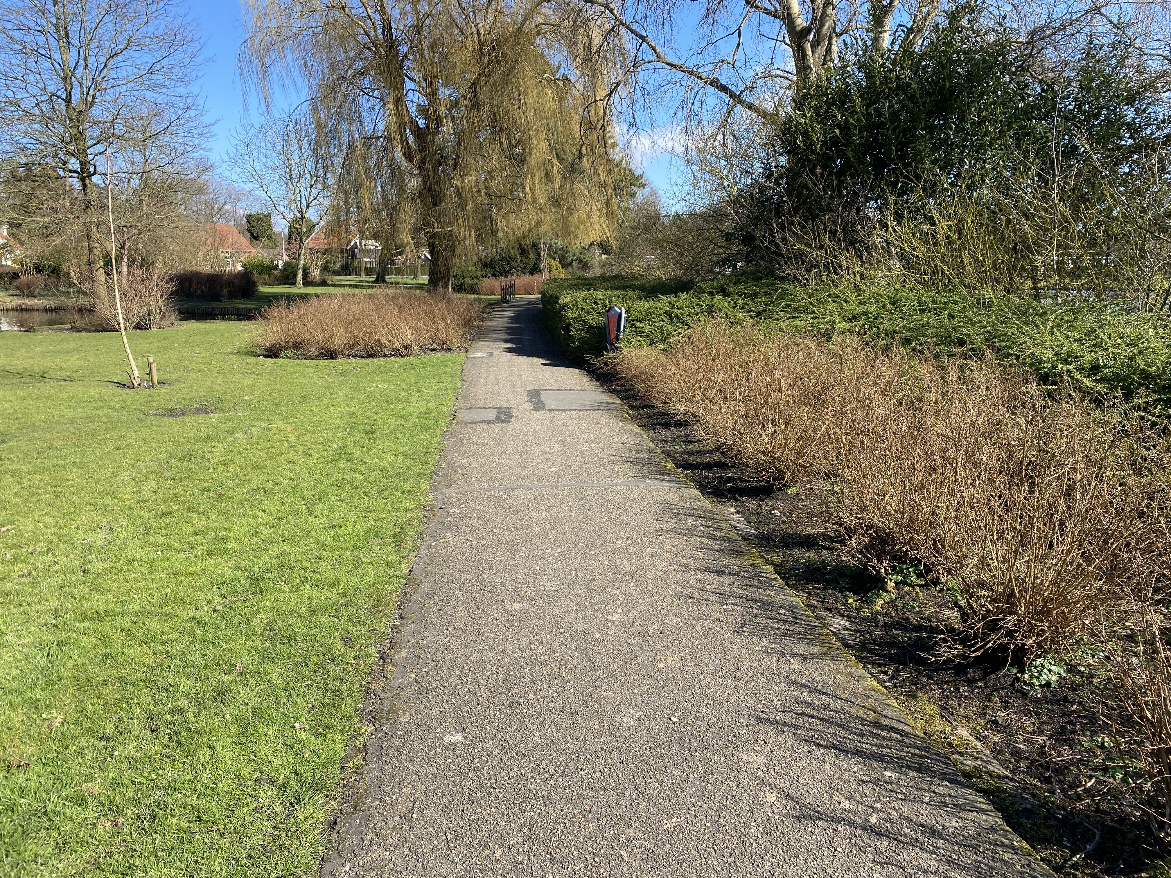 coaching, training, wandelcoaching, hoorn, bos, strand, heide