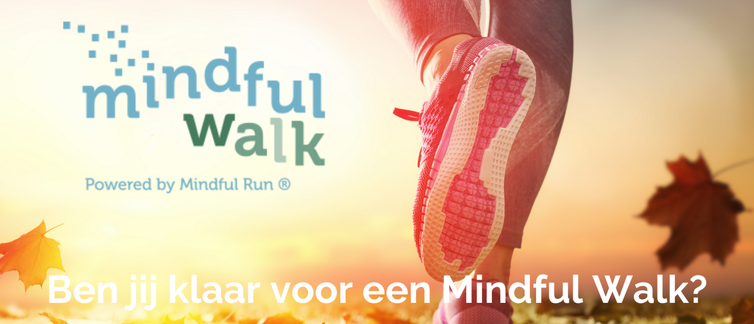 Meer over Mindful Run®