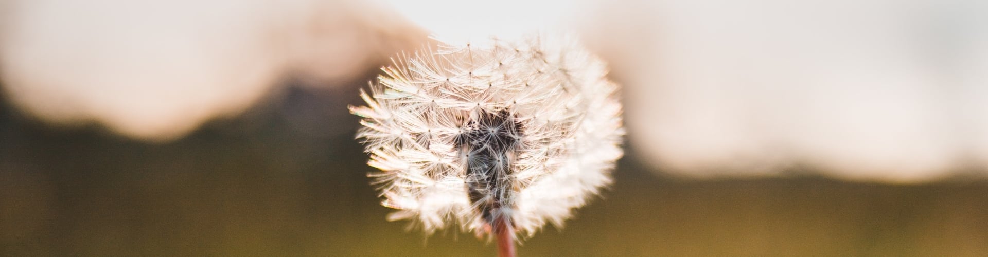 Wandelen, mindfulness en ademhaling