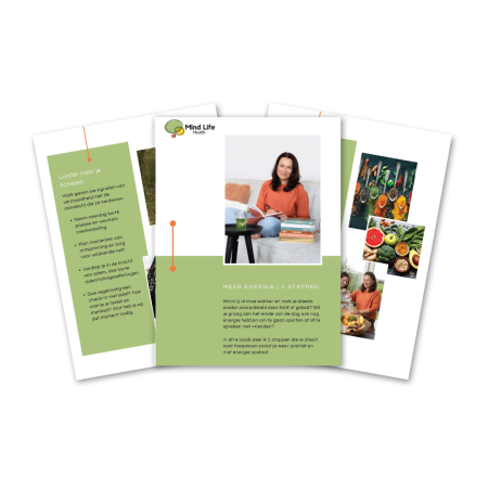 E-book 5 stappen meer energie cover