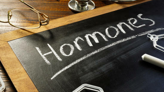 hormones geschreven met tektst