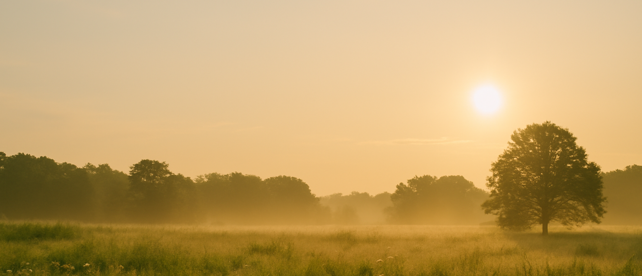 Opkomende zon - mindfulness meditatie