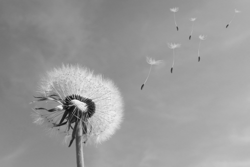 Oktober Pregnancy en Infant Loss Awareness. Verlies van zwanger-zijn