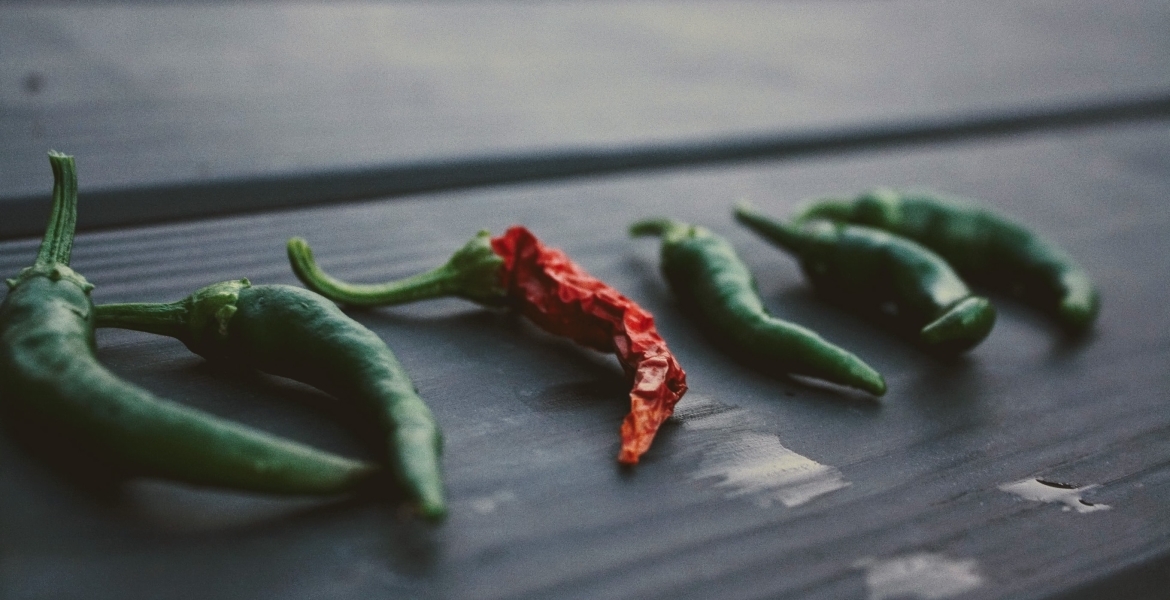 Pepers drogen (Foto S. Laiba Ali, Unsplash) pepers oogsten, kleuren en drogen