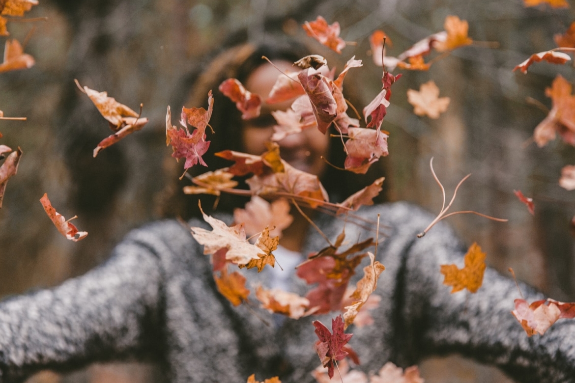 Tuin winterklaar maken. Foto: Jakob Owens on Unsplash biodiversiteit in de tuin in de herfst en winter