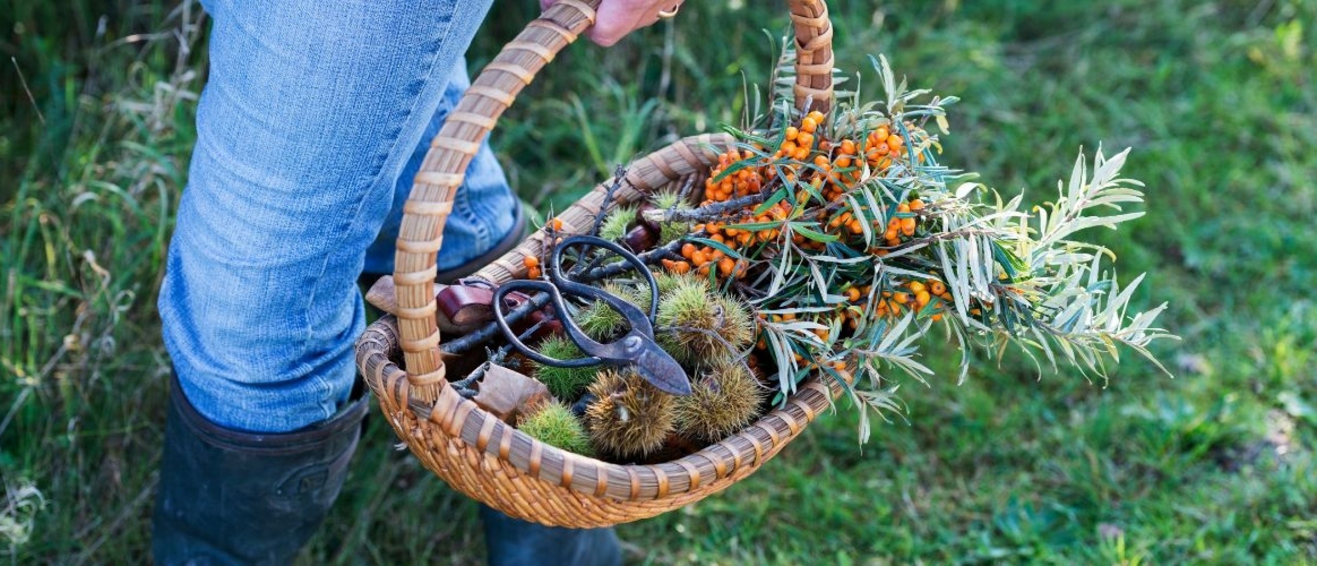 10 Gezondheidstrends voor 2025 die passen bij een Natuurlijke Levensstijl