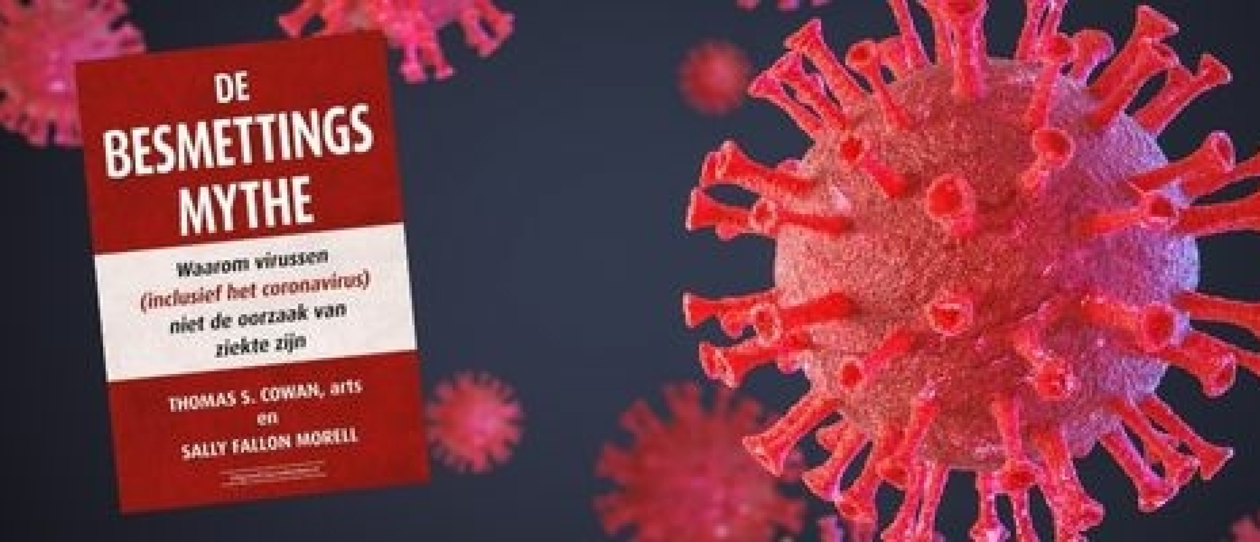 De Besmettingsmythe - Bestaan virussen eigenlijk wel?