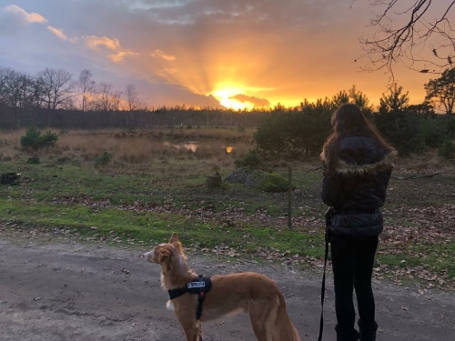 zonsopkomst
