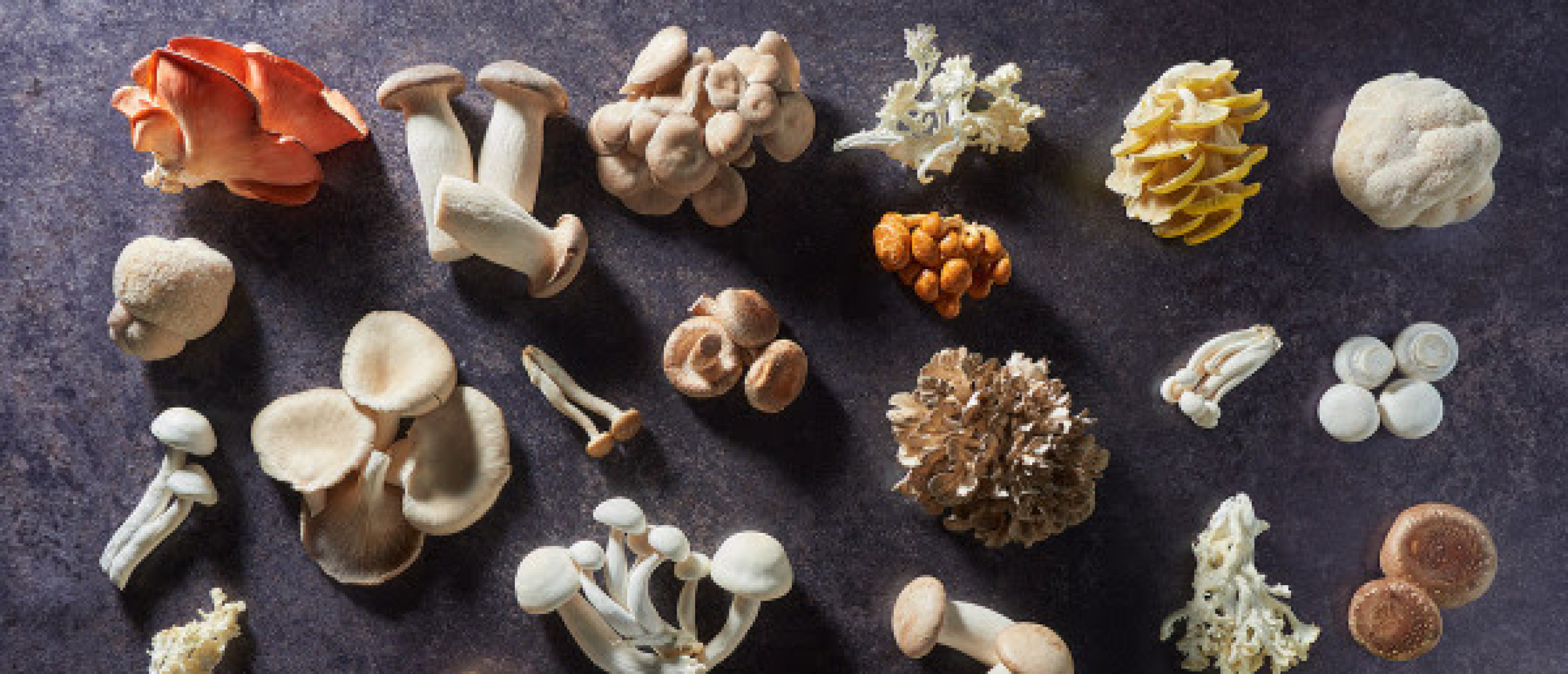 Creatief koken met exotische paddenstoelen