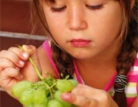 Supermarkt PLUS wil kinderen stimuleren meer fruit te eten